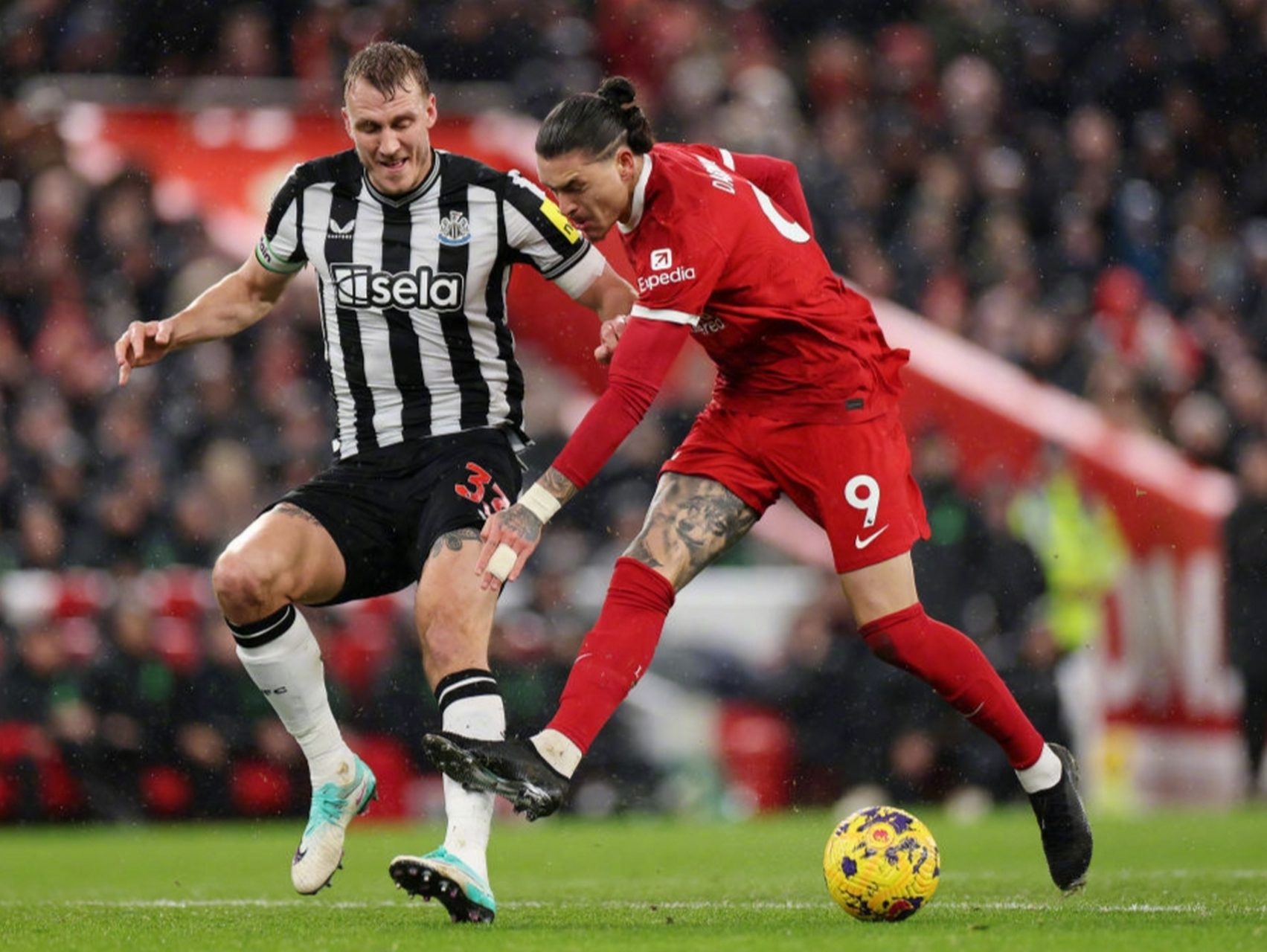 APP下载-利物浦战胜安德莱赫特，英格兰劲旅表现出色(利物浦战胜安德莱赫特,英格兰劲旅表现出色吗)