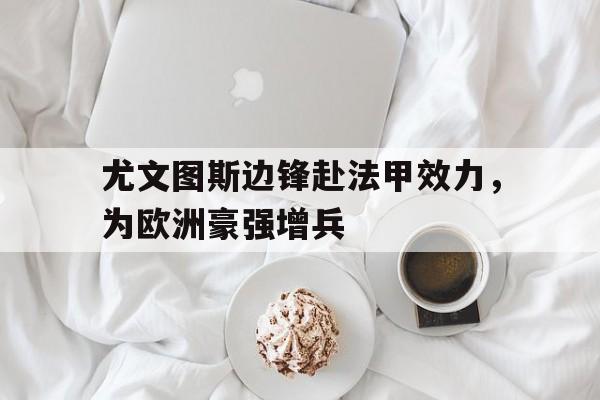 包含尤文图斯边锋赴法甲效力，为欧洲豪强增兵的词条