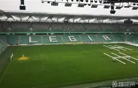 莱加内斯主场负于莱万特，保级形势严峻(莱加内斯主场球场)